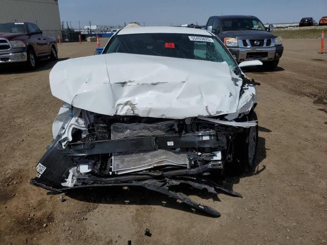  HYUNDAI ELANTRA 2025 Белый