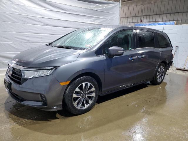 2023 Honda Odyssey Exl