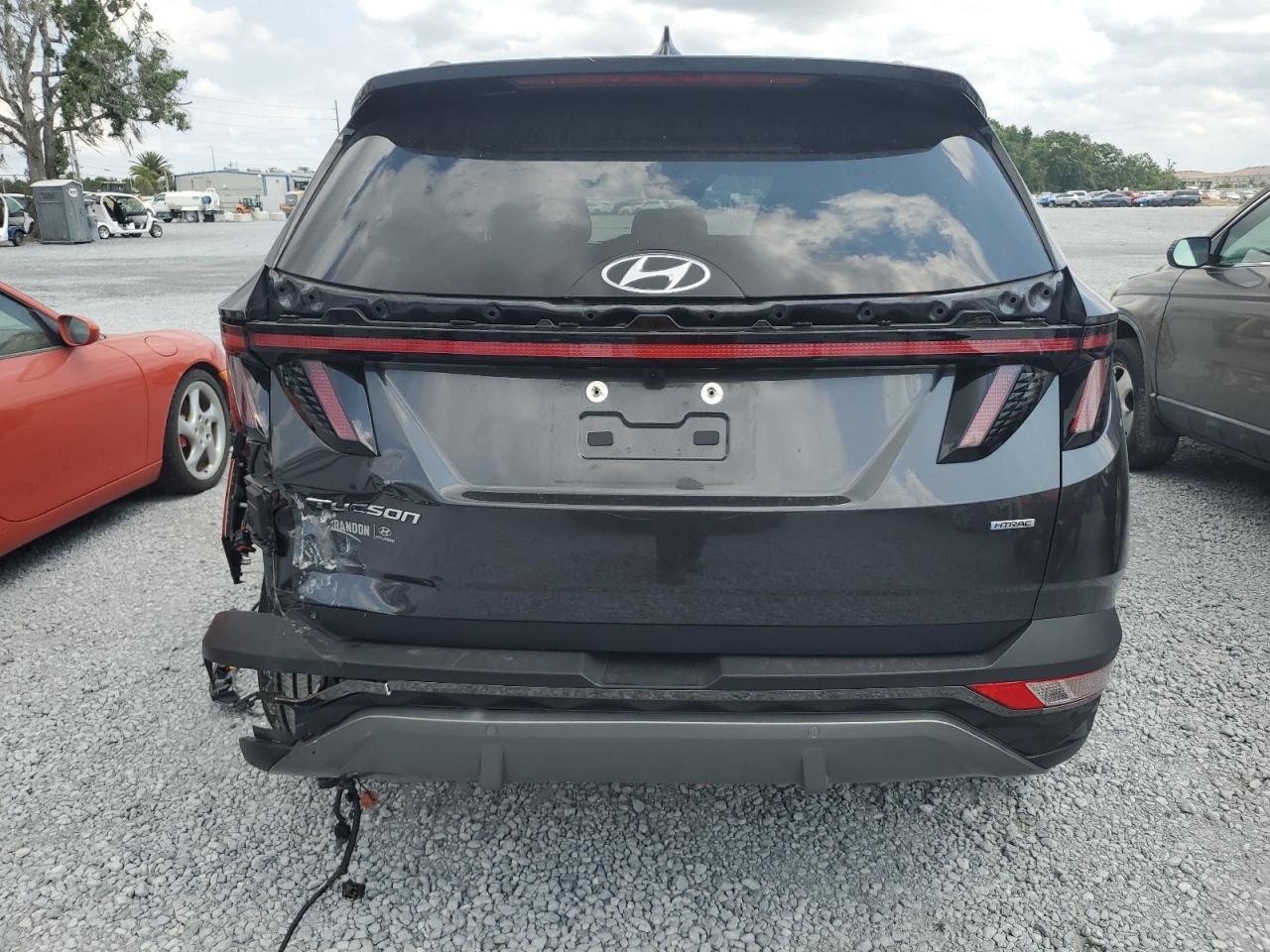2023 Hyundai Tucson Limited VIN: 5NMJECAE2PH228626 Lot: 56160145