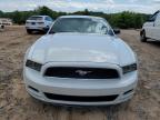 2014 Ford Mustang  for Sale in China Grove, NC - Rear End