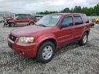 2007 Ford Escape Limited en Venta en Memphis, TN - Minor Dent/Scratches