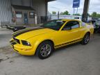 2005 Ford Mustang  for Sale in Fort Wayne, IN - Front End