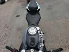 2023 CF MOTO 300SS    for sale at Copart CO - DENVER SOUTH