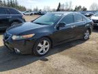 2011 ACURA TSX  for sale at Copart ON - TORONTO