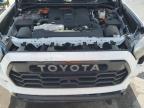 Orlando, FL에서 판매 중인 2025 Toyota Sequoia Sr5   - Front End