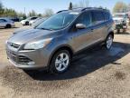 2013 FORD ESCAPE SE à vendre chez Copart ON - TORONTO