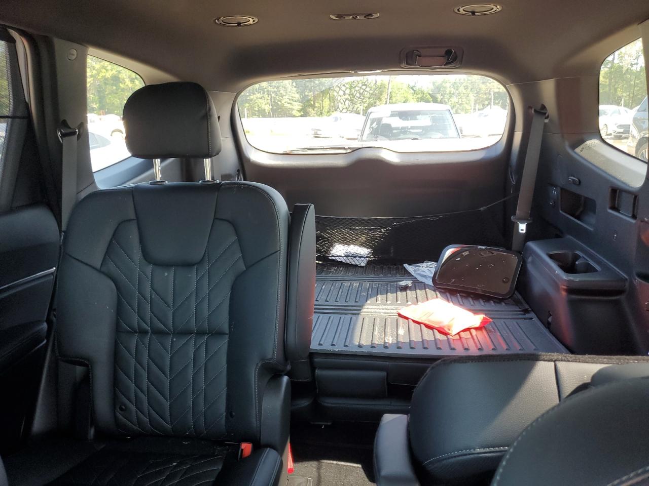 2025 Kia Telluride Ex VIN: 5XYP3DGC2SG612002 Lot: 55855605