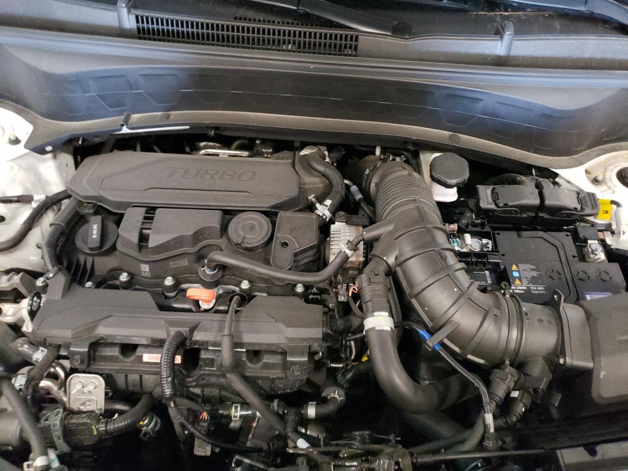 2024 Kia Seltos Sx VIN: KNDETCA76R7622276 Lot: 56784315