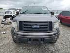 2010 Ford F150 Super Cab იყიდება Lawrenceburg-ში, KY - Rear End