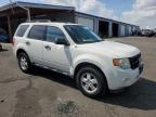 2012 Ford Escape Xlt for Sale in Denver, CO - Hail