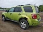 2011 Ford Escape Xlt   for Sale in Columbia Station, OH - Front End