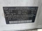 2019 Hyundai Sonata Limited на продаже в Grand Prairie, TX - Minor Dent/Scratches
