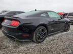 2020 Ford Mustang Gt   for Sale in Walton, KY - Front End