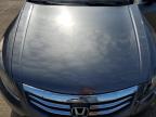 2011 Honda Accord Lxp იყიდება Moraine-ში, OH - Rear End