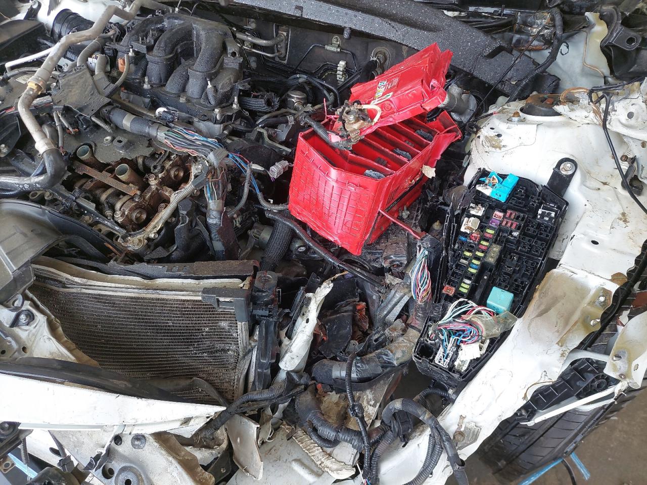 4T1BZ1FB6KU009967 - 2019 Toyota AVALON - #57924525