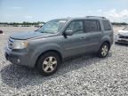 2011 Honda Pilot Exl zu verkaufen in Arcadia, FL - Normal Wear
