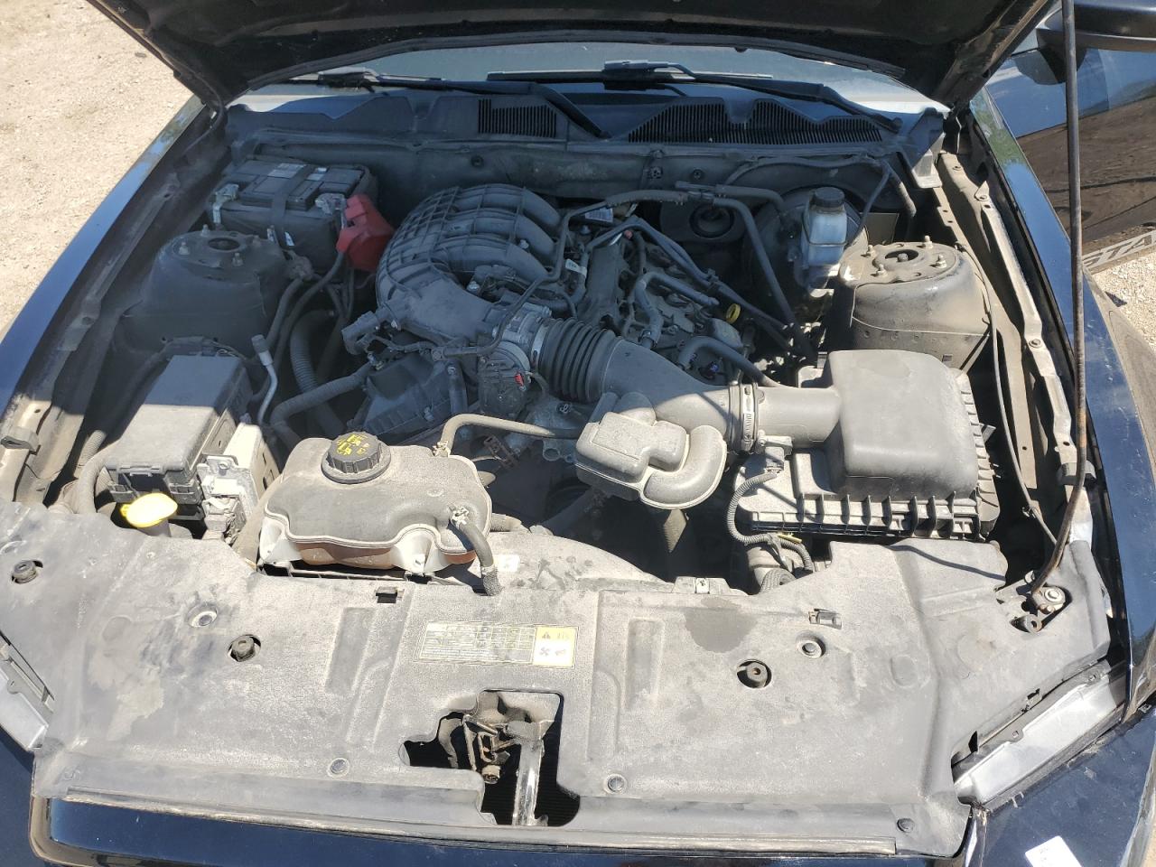2014 Ford Mustang VIN: 1ZVBP8AM4E5213982 Lot: 55425525