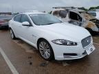 2012 JAGUAR XF PORTFOLIO D AUTO  for sale at Copart NEWBURY