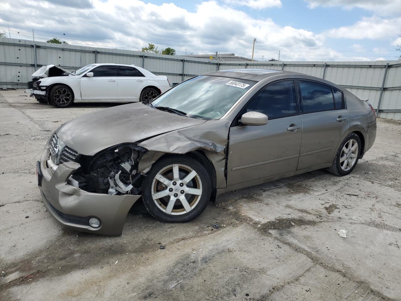 2005 Nissan Maxima Se продається в Walton, KY - Front End