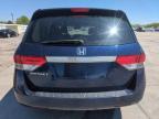 2014 Honda Odyssey Exl zu verkaufen in Littleton, CO - Hail