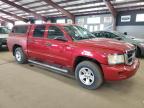 2008 Dodge Dakota Quad Slt de vânzare în East Granby, CT - Minor Dent/Scratches
