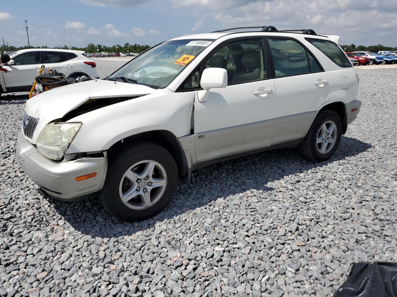 2003 Lexus Rx 300 იყიდება Arcadia-ში, FL - Front End