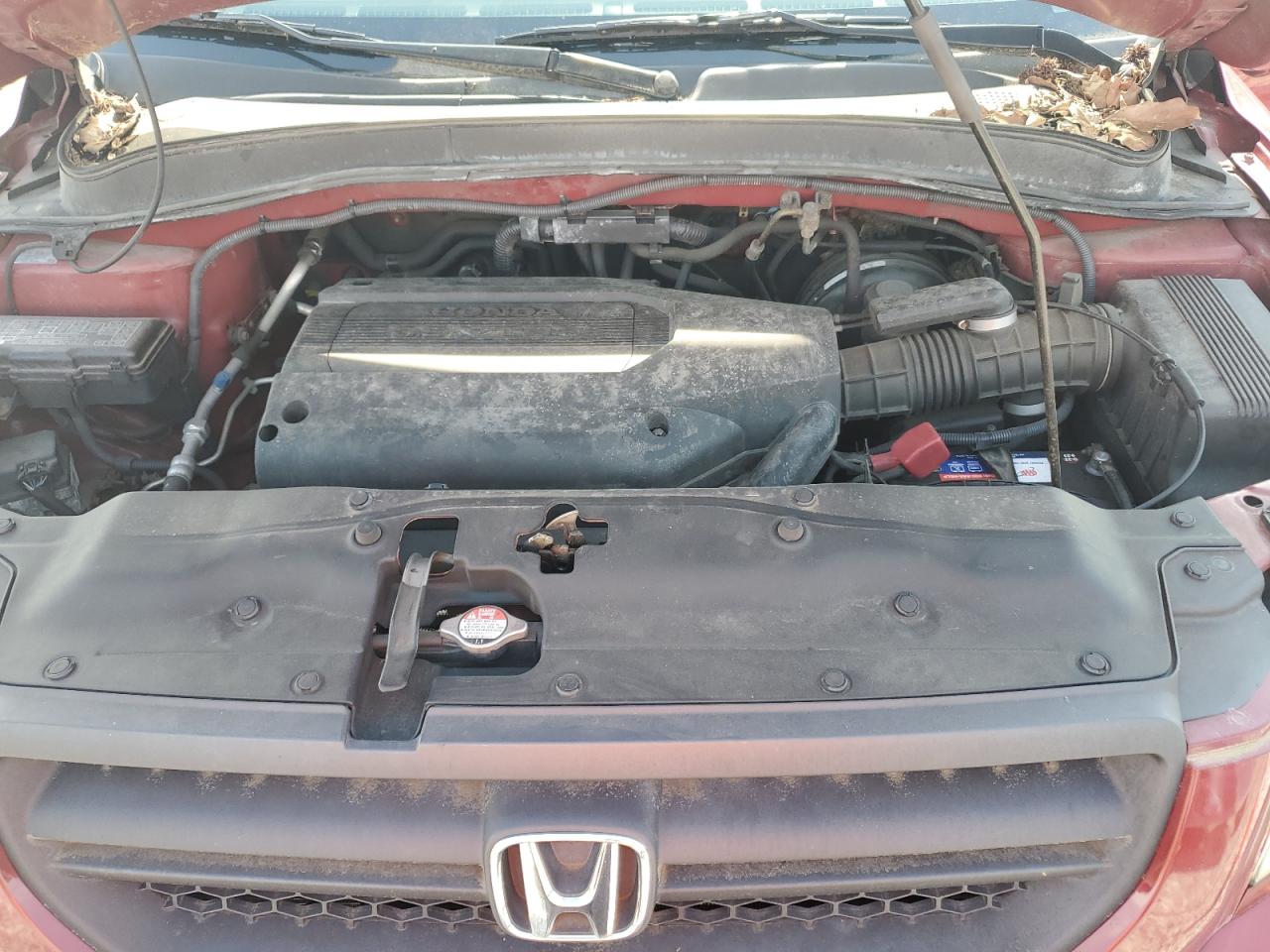 2010 Honda Pilot Exl VIN: 2HKYF18584H564057 Lot: 56721565