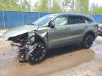 2025 Kia Sorento Ex en Venta en Moncton, NB - Biohazard/Chemical
