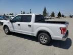 2017 Ford F150 Supercrew for Sale in Rancho Cucamonga, CA - Side