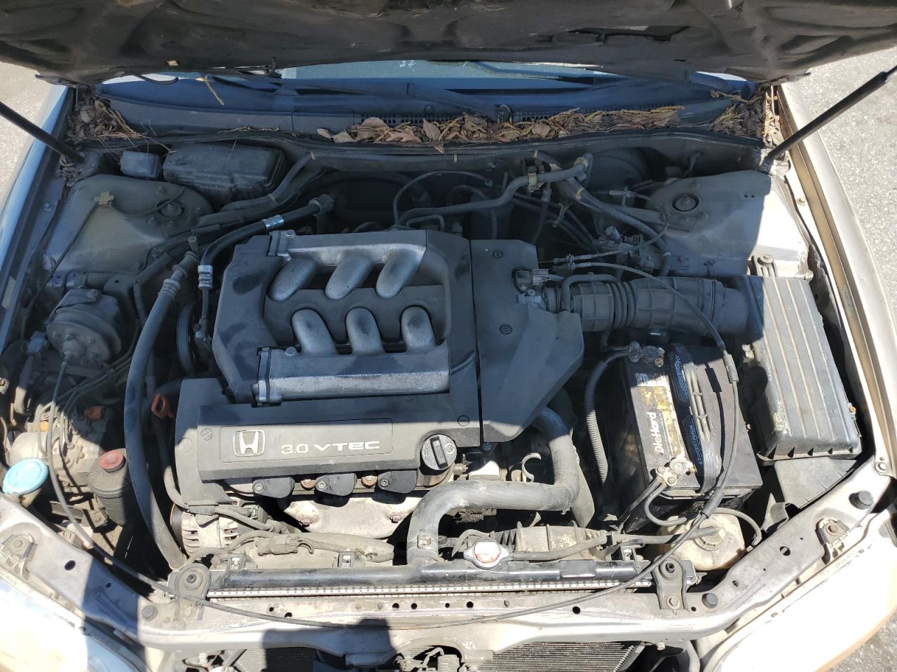 2000 Honda Accord Ex VIN: 1HGCG1651YA085715 Lot: 56040745