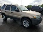 2007 Ford Escape Xlt იყიდება Littleton-ში, CO - Rear End