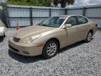 2003 Lexus Es 300 იყიდება Riverview-ში, FL - Rear End