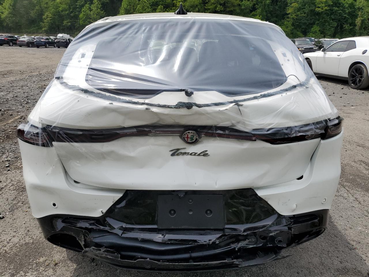 2025 Alfa Romeo Tonale Base VIN: ZASPATAW3S3089889 Lot: 58319955