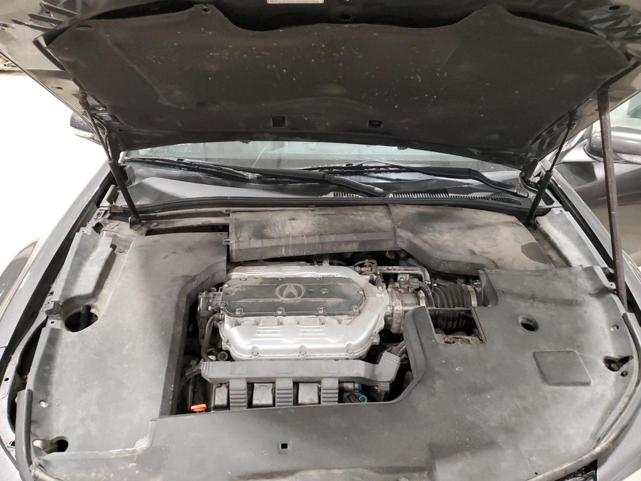 2009 Acura Tl VIN: 19UUA96579A004478 Lot: 56683335