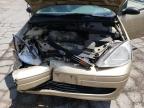 2000 Ford Focus Se იყიდება Rogersville-ში, MO - Front End