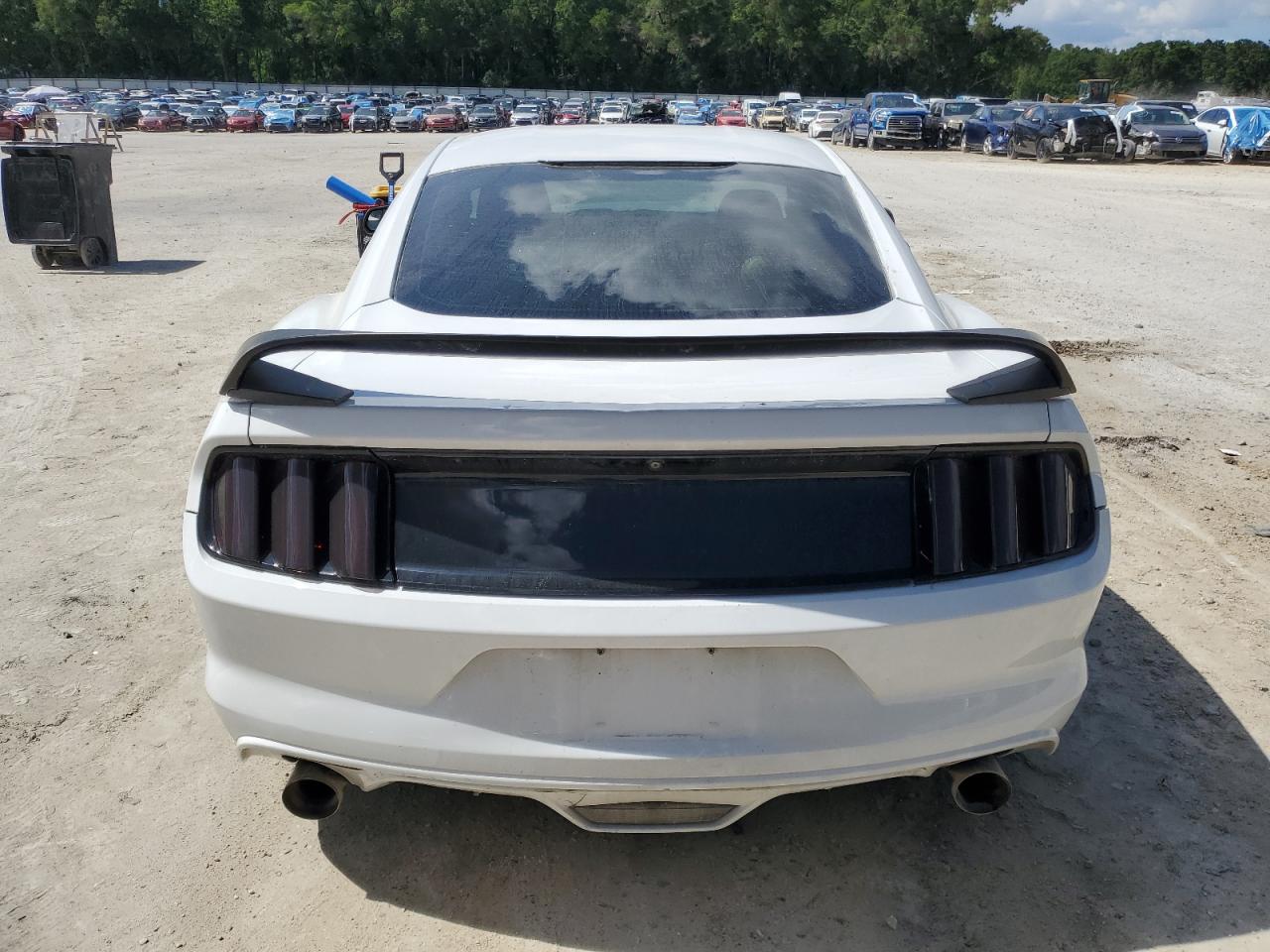 2017 Ford Mustang VIN: 1FA6P8AM8H5335405 Lot: 55945545