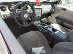 2010 Ford Mustang  for Sale in Magna, UT - Front End