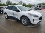 2022 Ford Escape Se იყიდება Bridgeton-ში, MO - Rear End