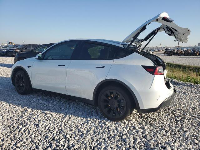  TESLA MODEL Y 2023 White