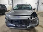 2021 Ford Escape Titanium zu verkaufen in Ham Lake, MN - Front End