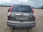 2010 Honda Cr-V Exl zu verkaufen in Greenwood, NE - Hail