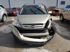 2009 Honda Cr-V Exl იყიდება Lawrenceburg-ში, KY - All Over