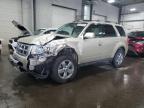 2011 Ford Escape Limited იყიდება Ham Lake-ში, MN - Front End