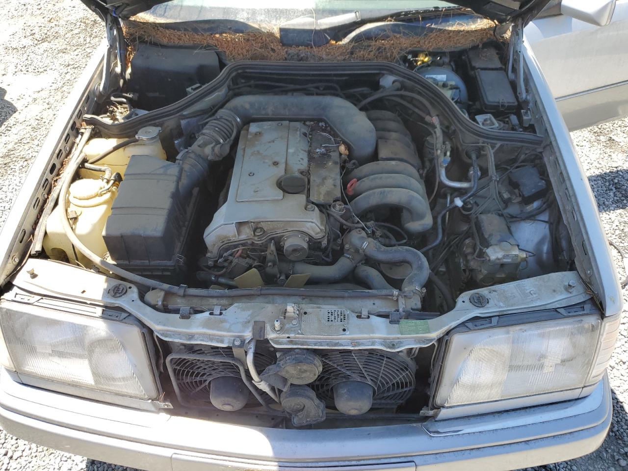 1994 Mercedes-Benz E 320 VIN: WDBEA32E7RC050885 Lot: 56667795