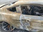 2019 Ford Mustang Gt na sprzedaż w Madisonville, TN - Burn