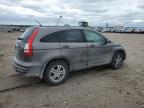 2010 Honda Cr-V Exl zu verkaufen in Greenwood, NE - Hail