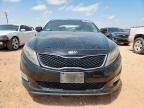 2015 Kia Optima Lx for Sale in Andrews, TX - Hail