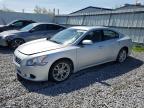 2013 Nissan Maxima S for Sale in Albany, NY - Vandalism