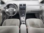 2010 Toyota Corolla Base   for Sale in Wilmington, CA - Front End
