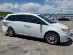 Littleton, CO에서 판매 중인 2013 Honda Odyssey Exl - Rear End